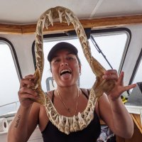 Scarlett Taylor 🦈 (@sharkswithscar) 's Twitter Profile