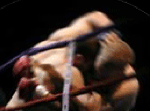 JIUJITSUNET's profile picture. http://t.co/IT3hTr4zvN - Brazilian Jiu-jitsu and Mixed Martial Arts Online Resource - BJJ & MMA Books, DVDs & Online Training Videos.