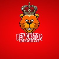 Rey Castor e-Sports (@reycastorfc) 's Twitter Profile