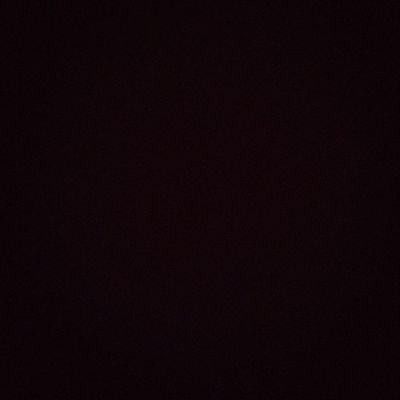 NRautella's profile picture. 