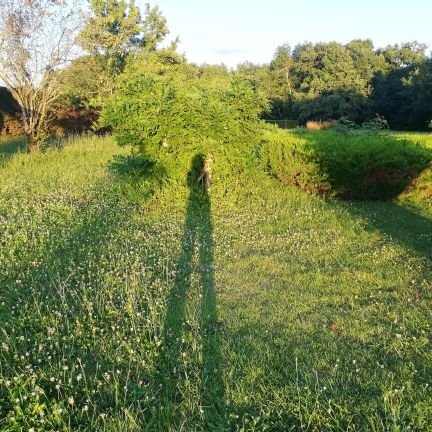 alienor_glr's profile picture. 🌦️🐧