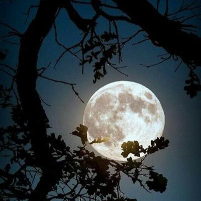أذكر ربك في السراء تجده بجانبك يشدك في الضراء،