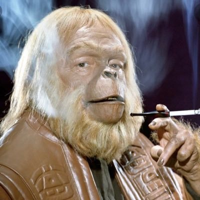 WestTalbert's profile picture. Ape strong 1/20/21