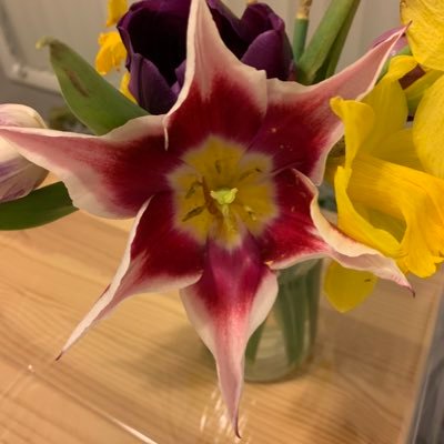 LauraVTer's profile picture. 