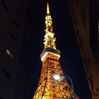 たー坊 (@c5nxk63vwr2ueko) 's Twitter Profile