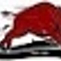 arkansas roadhogs (@arkansasroadhog) 's Twitter Profile Photo arkansas roadhogs (@arkansasroadhog) 's Twitter Profile Photo