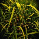 Deep Kanwal - @deep_kanwal04 - Twitter