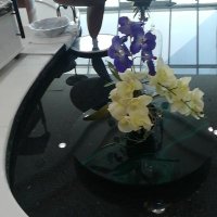 مطلقه كويتيه ممحونه (@mlrps1hf8iheukq) Twitter profile photo
