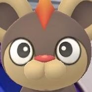 Glitch11111's profile picture. Ace
:P
NSFW and Proshippers DNI
I am a minor(16)
priv is @glitchpriv_P