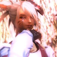 no (@_veryxd) 's Twitter Profile