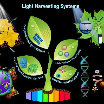 Nanophotonics LAB
PI: Prof. Amitava Patra
Indian Association for the Cultivation of Science @iacskolkata
Director @INSTMohali