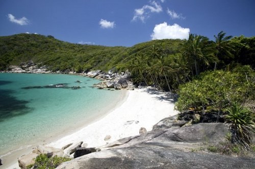 arturo_ps's profile picture. 