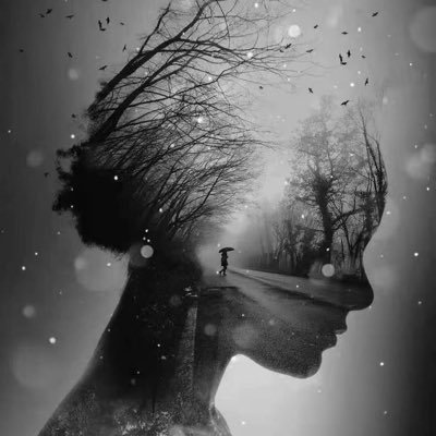 gillri2's profile picture. 就是