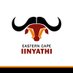 IinyathiCricketTeam (@IinyathiCricket) Twitter profile photo