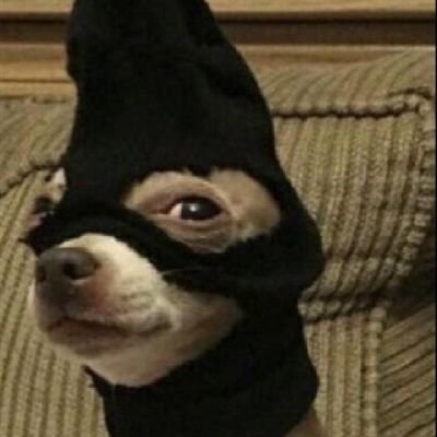 he_dgy's profile picture. CANCER♋️

POET