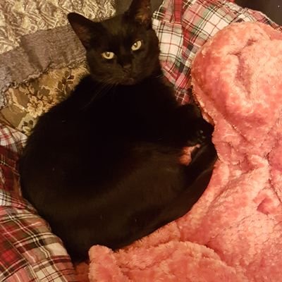 CONNELLMARGARE1's profile picture. 