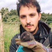 Julio C.Dominguez (@juliocdvilla) 's Twitter Profile Photo Julio C.Dominguez (@juliocdvilla) 's Twitter Profile Photo