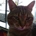 Joanne Brown (@jobrown1812) Twitter profile photo Joanne Brown (@jobrown1812) Twitter profile photo