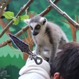 ryuさんのプロフィール画像