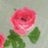yu_sk39