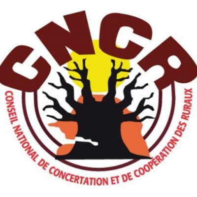 Cncr_Senegal Profile Picture