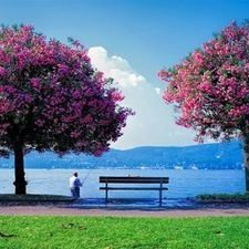 sjx8881's profile picture. https://t.co/feElGkSobj
 #BTC #BNB #PEC #POS #phoenixchain #XRP #XMR #DASH #DOGE #LTC #DEFI #EOS #DEX #USDT #BITCOIN  #ETH  
http://explorer.phoenixchain