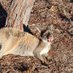 Amaris Wildlife Rehabilitation (@santenmaggie) Twitter profile photo Amaris Wildlife Rehabilitation (@santenmaggie) Twitter profile photo