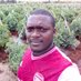 Agronomist. Lumumba Joseph (@highness901) Twitter profile photo Agronomist. Lumumba Joseph (@highness901) Twitter profile photo