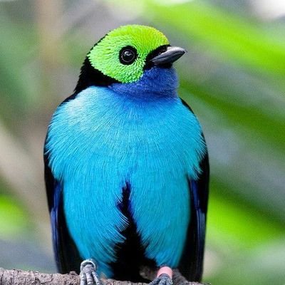 MohammedAlduba6's profile picture. 