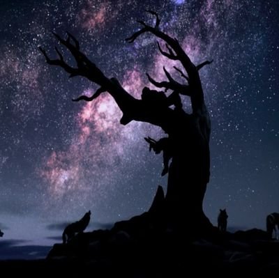 madhusj0078's profile picture. अकाल मृत्यु वो मरे जो कर्म करे चांडाल का काल भी उसका क्या करे जो भक्त हो महाकाल का