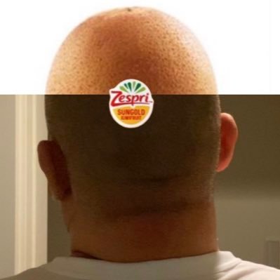 日常も捉え方を変えれば面白く楽しく見えてくる。そんなネタツイートにお付き合いください。ツッコミきつめですが貴方のツイートに彩を与えます。G🏳️🌈