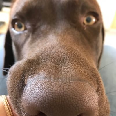 Arjanne10's profile picture. 