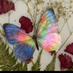Emine Yüksel (@ykslemine06) Twitter profile photo Emine Yüksel (@ykslemine06) Twitter profile photo