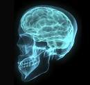 Get Brain Cancer article and product review from ezinearticles, amazon, and clickbank