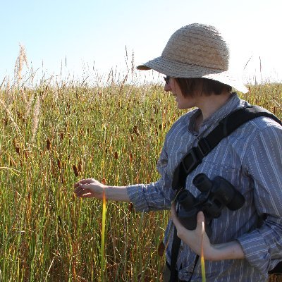 sopohi's profile picture. hier nicht mehr aktiv seit Oktober 2023 #eXit #ByeByeX #QuitX