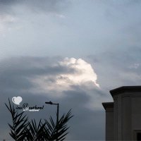 رنيشيكا بطلة الدوري2025🥇 (@iranoo_a126) 's Twitter Profile