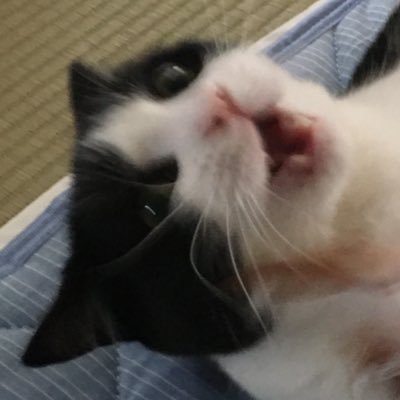 fjt6_grgr's profile picture. 好きなものを好きなだけ