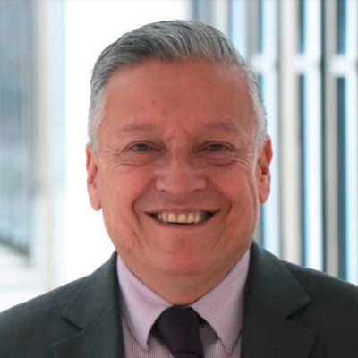 Professor of economics and consultant