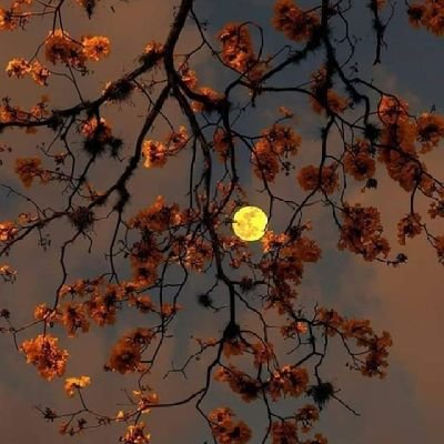 بوی بهبود ز اوضاع جهان می آید
مانده ام کشور من جز جهان نیست چرا!