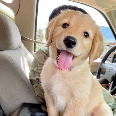 jdbswj's profile picture. You are enough.Every morning, every sunrise , every day.🌈🌻