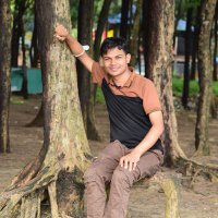 Md Royal Shafi (@mdroyalshafi) 's Twitter Profile