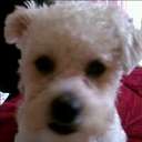 Kathy Abner - @kassandrajack - Twitter