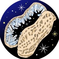 PEANUTS MINERALS🥜 (@peanutsminerals) 's Twitter Profile Photo PEANUTS MINERALS🥜 (@peanutsminerals) 's Twitter Profile Photo