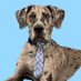 CustomerCareAdvisory (@customercareadv) Twitter profile photo CustomerCareAdvisory (@customercareadv) Twitter profile photo