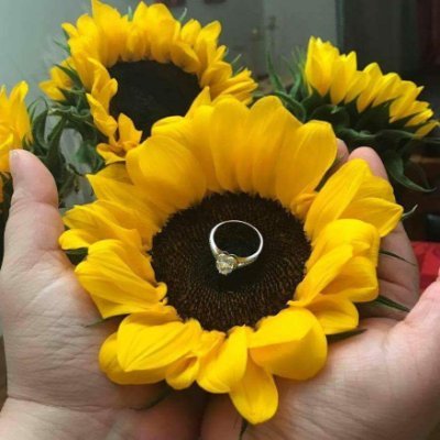 PaulHarlem1's profile picture. 