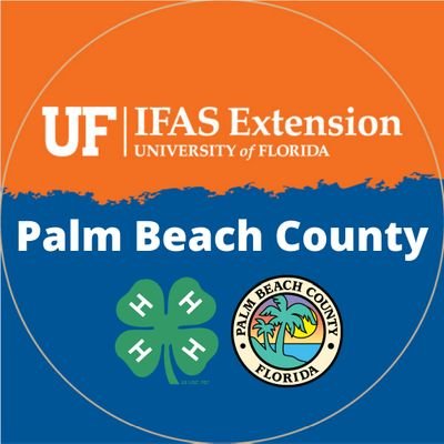 National youth development program with Palm Beach County, open to youth ages 5-18, focusing on life skills in a fun, safe environment. http://t.co/5V2WGLV4WI