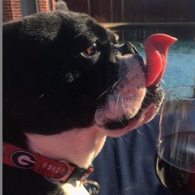 donewithID10Ts's profile picture. I love #wx and #wine.