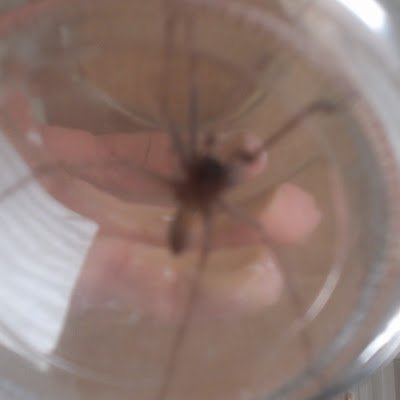 StixMonkey's profile picture. 