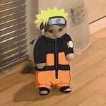 johnnyisprooo's profile picture. Notuoto