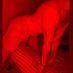 Bursa gay (@bursaga13925897) Twitter profile photo Bursa gay (@bursaga13925897) Twitter profile photo